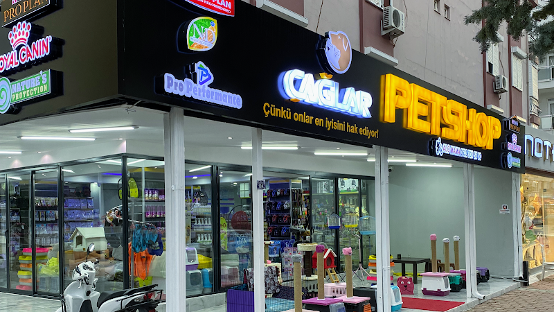 Çağlar Petshop 2
