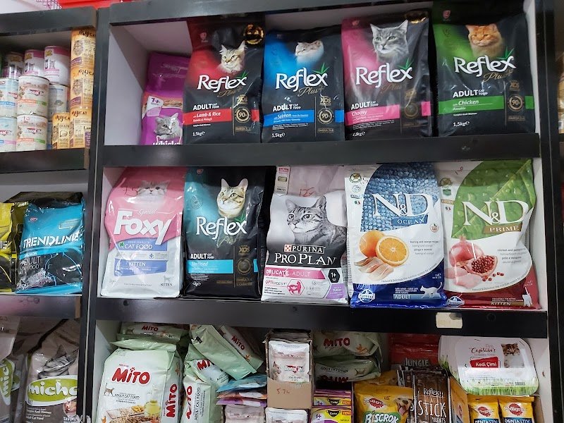 Eylül Akvaryum pet shop