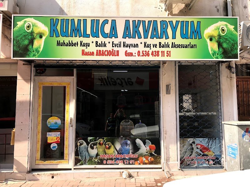 Kumluca Akvaryum-Petshop
