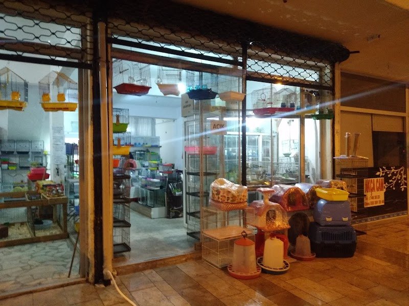 Muhabbetim Petshop