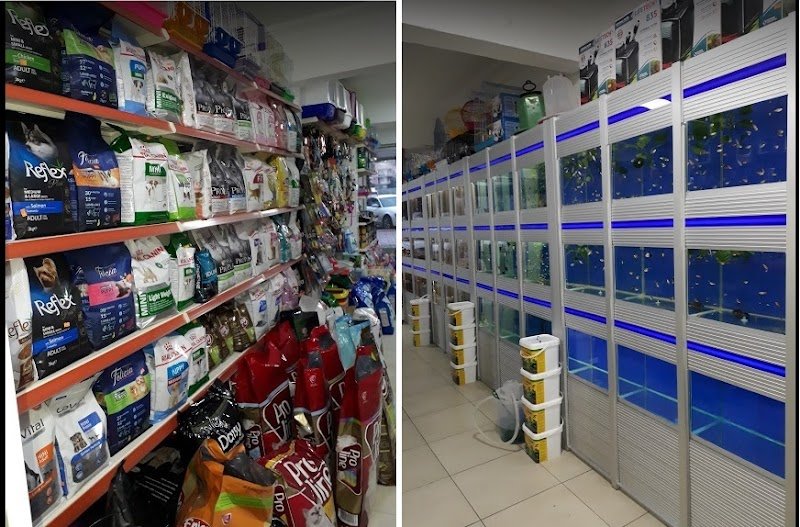 Manavgat Buğra PetShop Akvaryum Mama