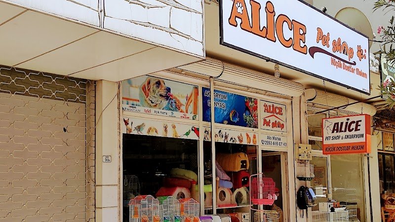 Alice Petshop