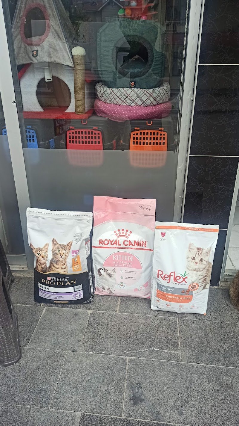 Hayalim petshop