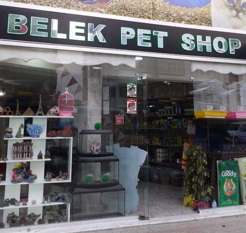 Belek Petshop