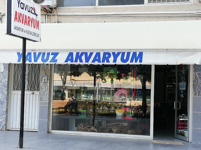 yavuz akvaryum