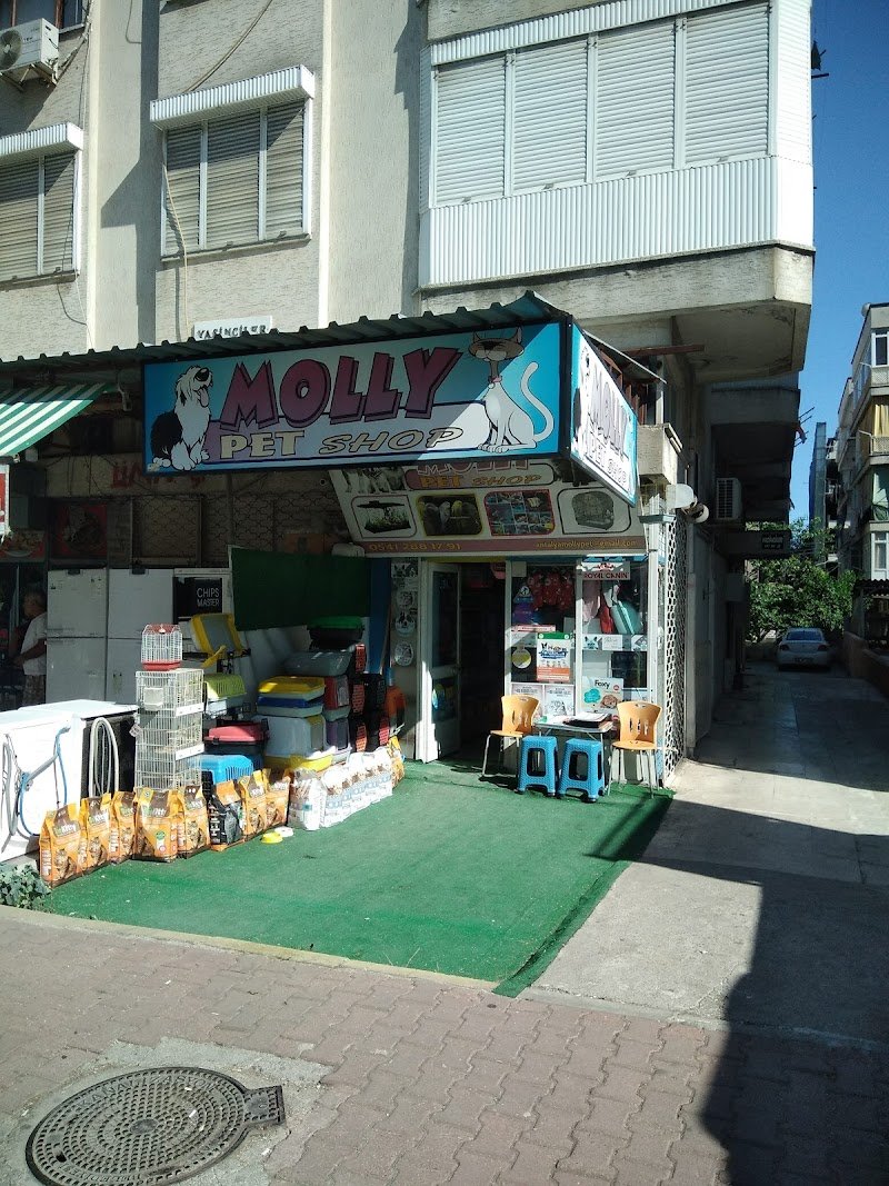 MOLLY PET SHOP