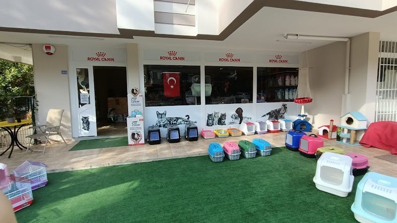 Tazmanya Petshop - Güzeloba Şube