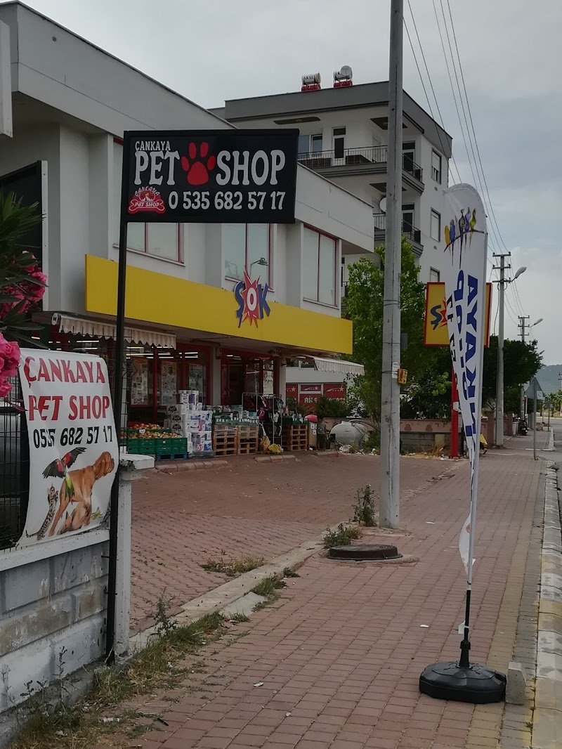 Varsak Çankaya Petshop