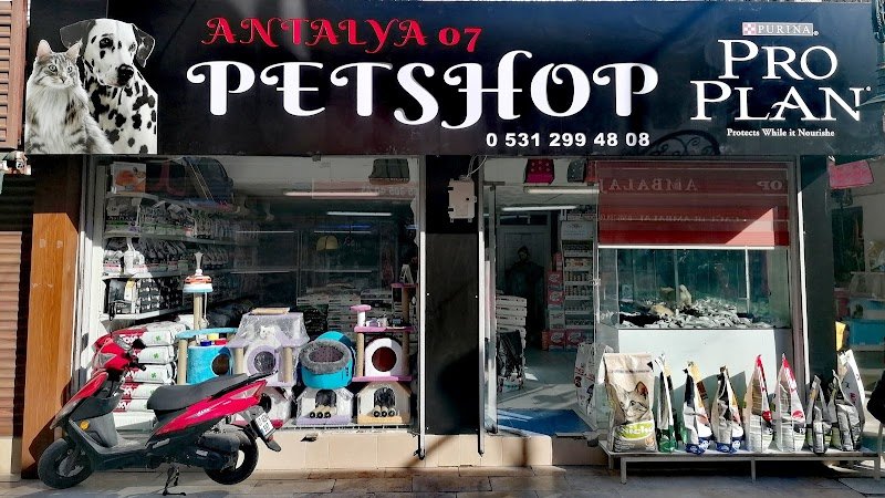 Antalya 07 PetShop