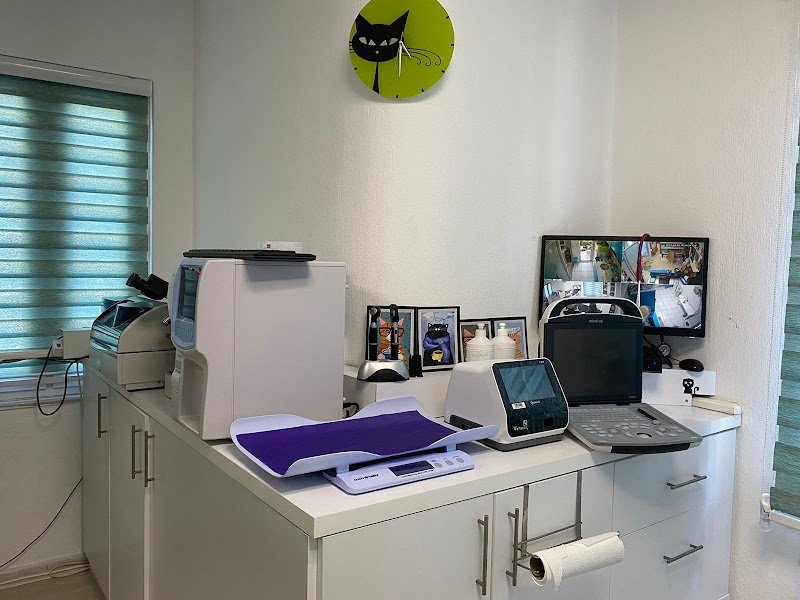 Phellos veteriner kliniği