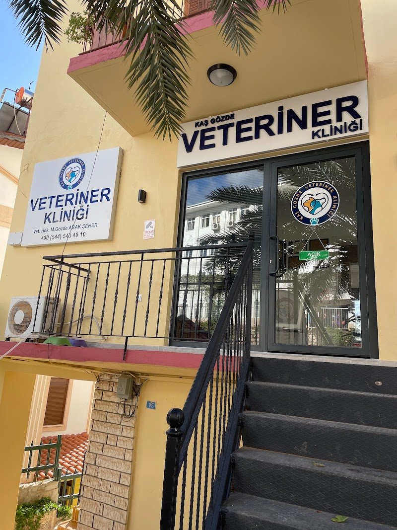 Kaş Gözde Veteriner Kliniği