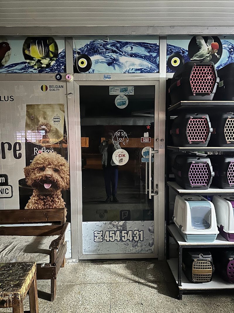 Kemer Pet-Shop
