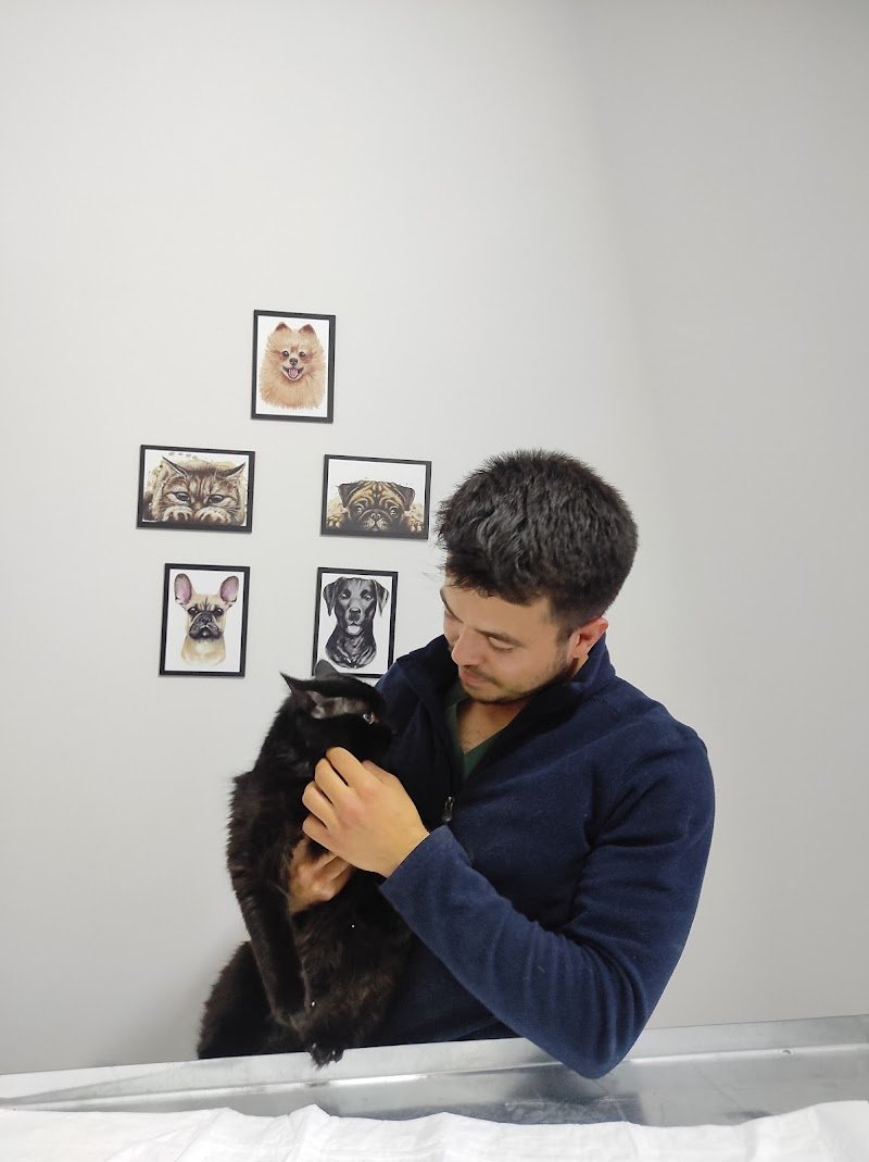 Korkuteli Veteriner Kliniği