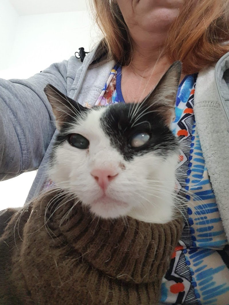 Okyanus Veteriner Kliniği