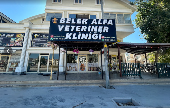 Belek Alfa Veteriner Kliniği