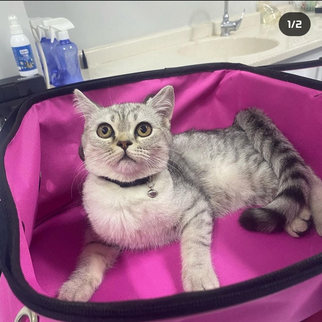 Patisense Veteriner Kliniği