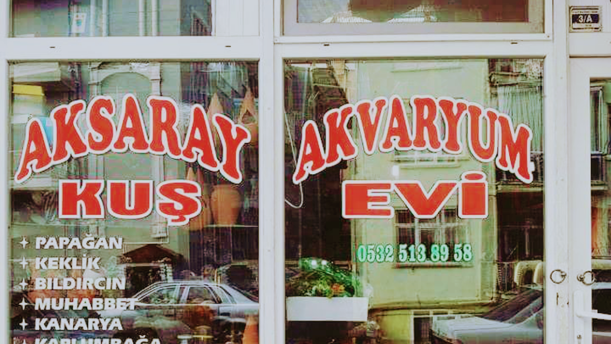 Aksaray pet Kuş Akvaryum Evi (toptan ve parakende )