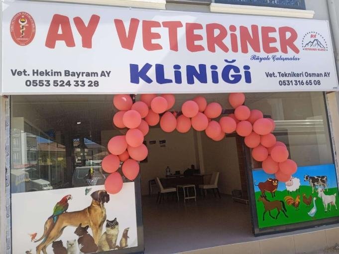 Ay Veteriner Kliniği