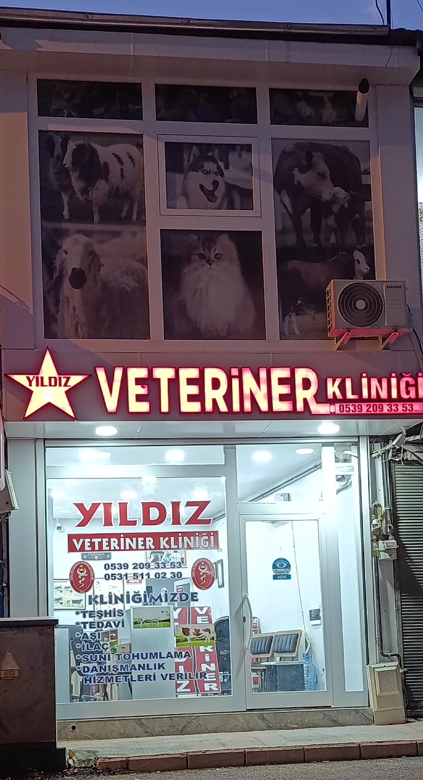 yıldız veteriner kliniği