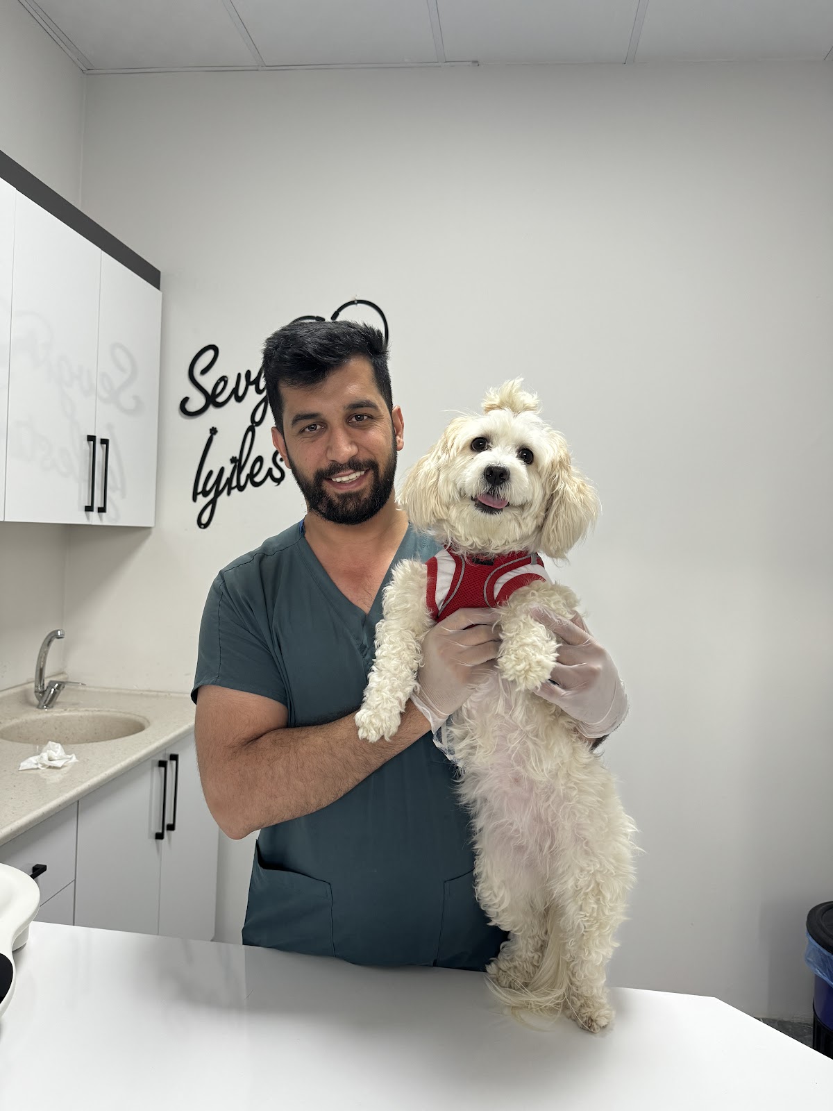 Sempati Veteriner Kliniği