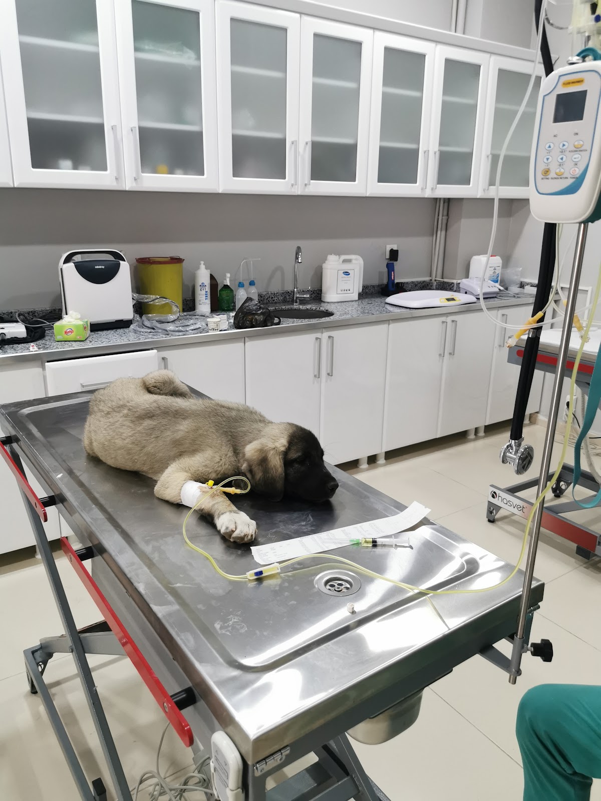 Alpdoğan Veteriner Kliniği