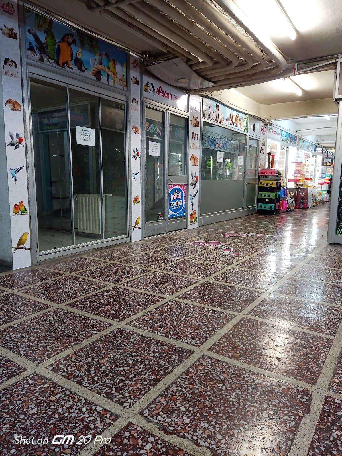 AFACAN PETSHOP