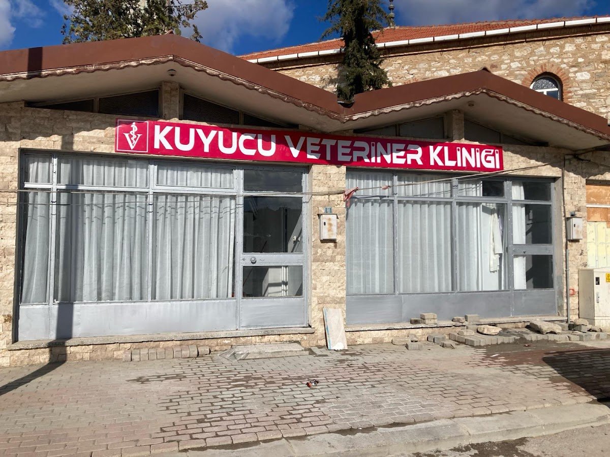 Kuyucu veteriner kliniği