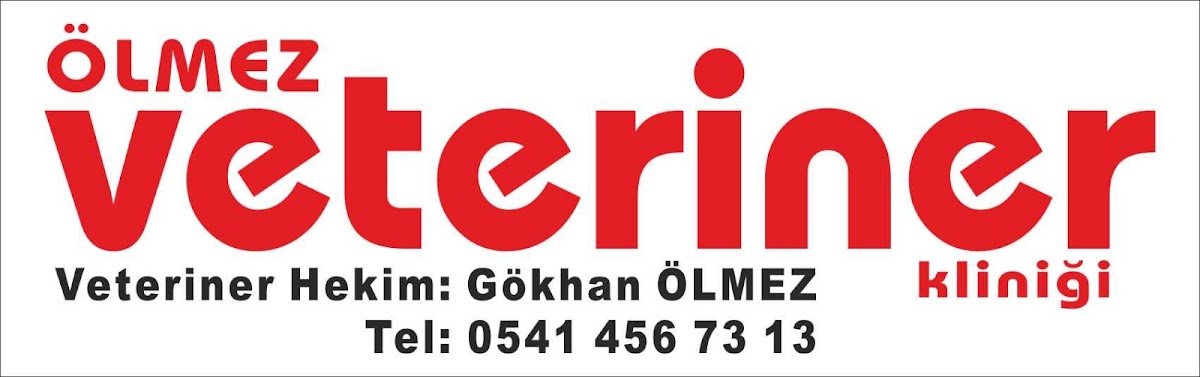 Ölmez veteriner kliniği