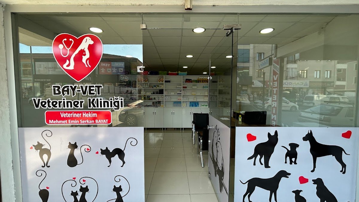 BAY-VET VETERİNER KLİNİĞİ