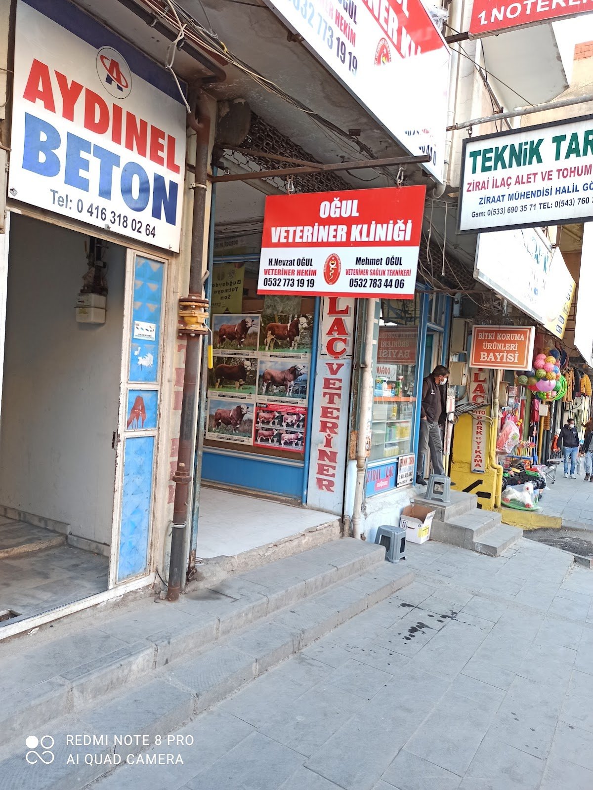 Oğul Veteriner Kliniği