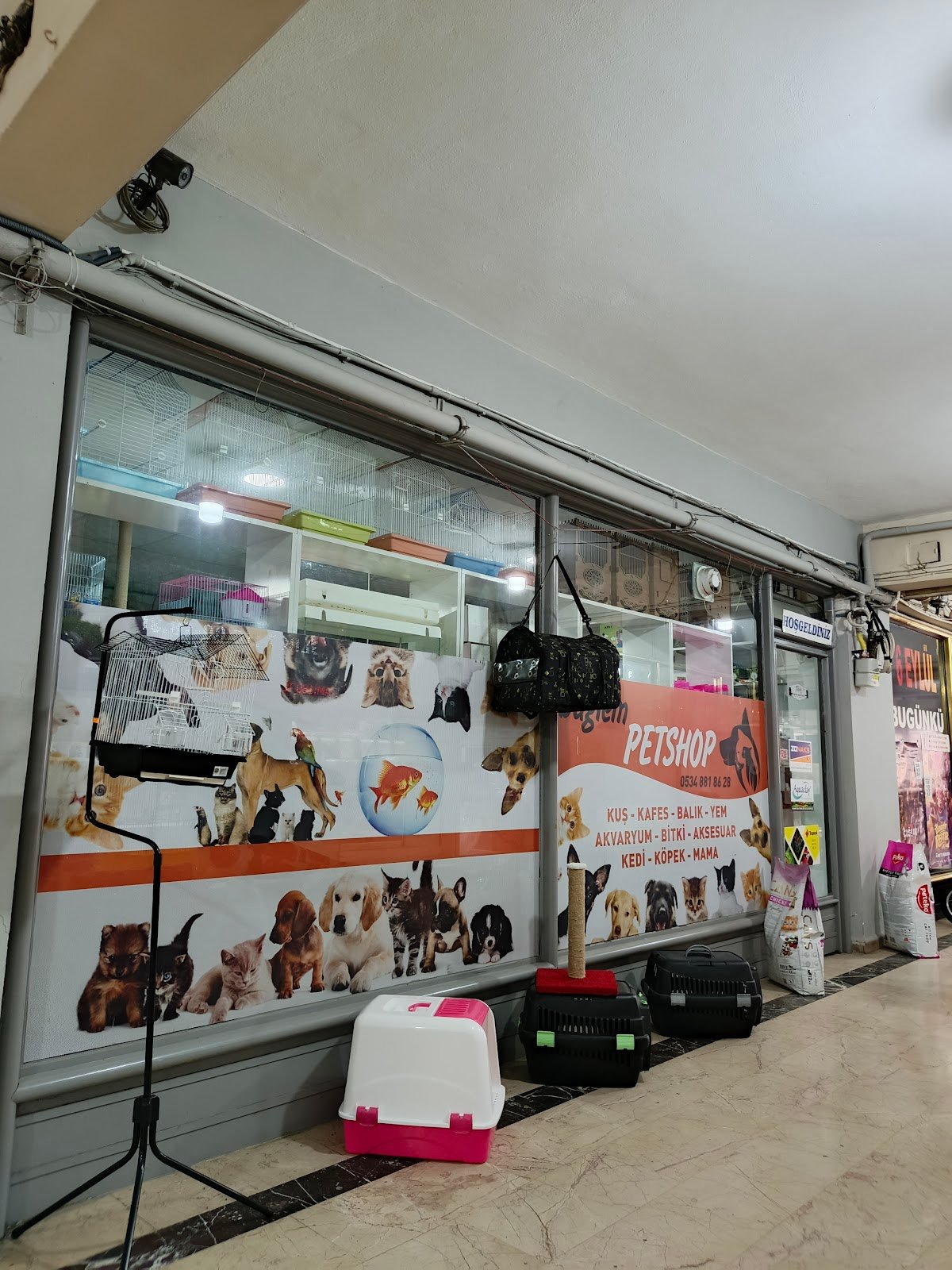 BUĞLEM PETSHOP 2 (BİLECİK/MERKEZ)