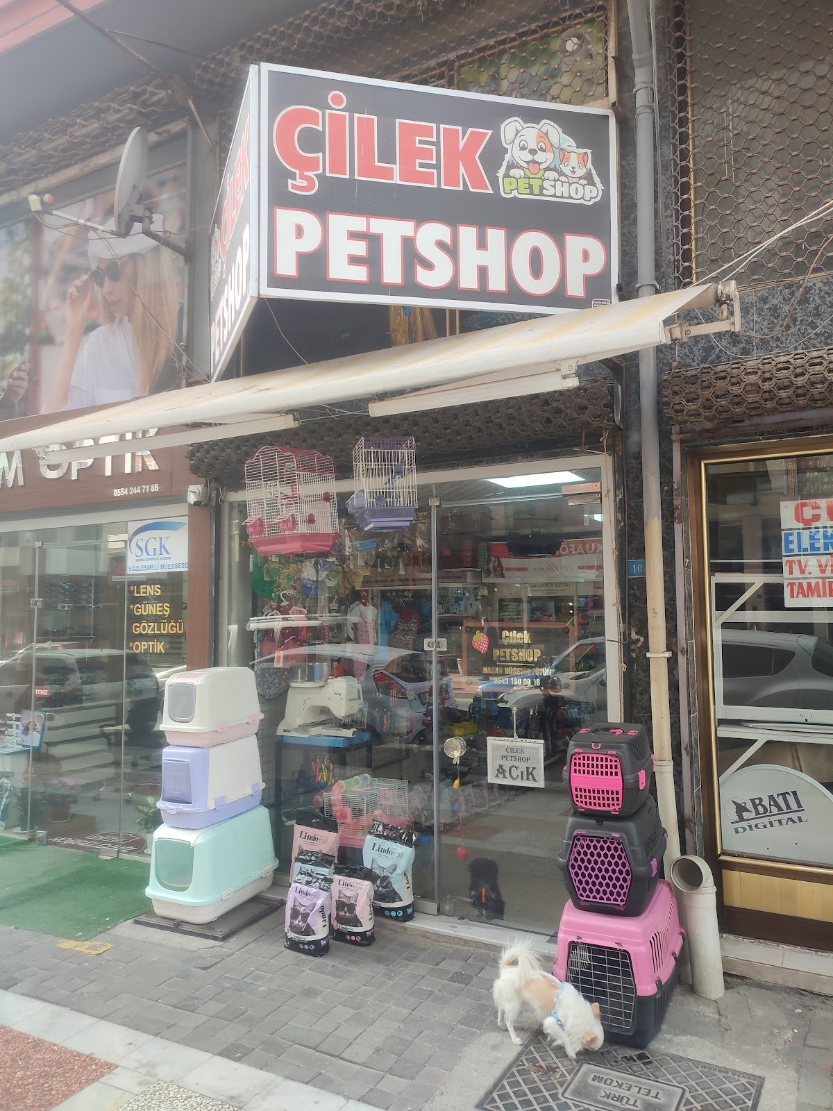 Çilek petshop