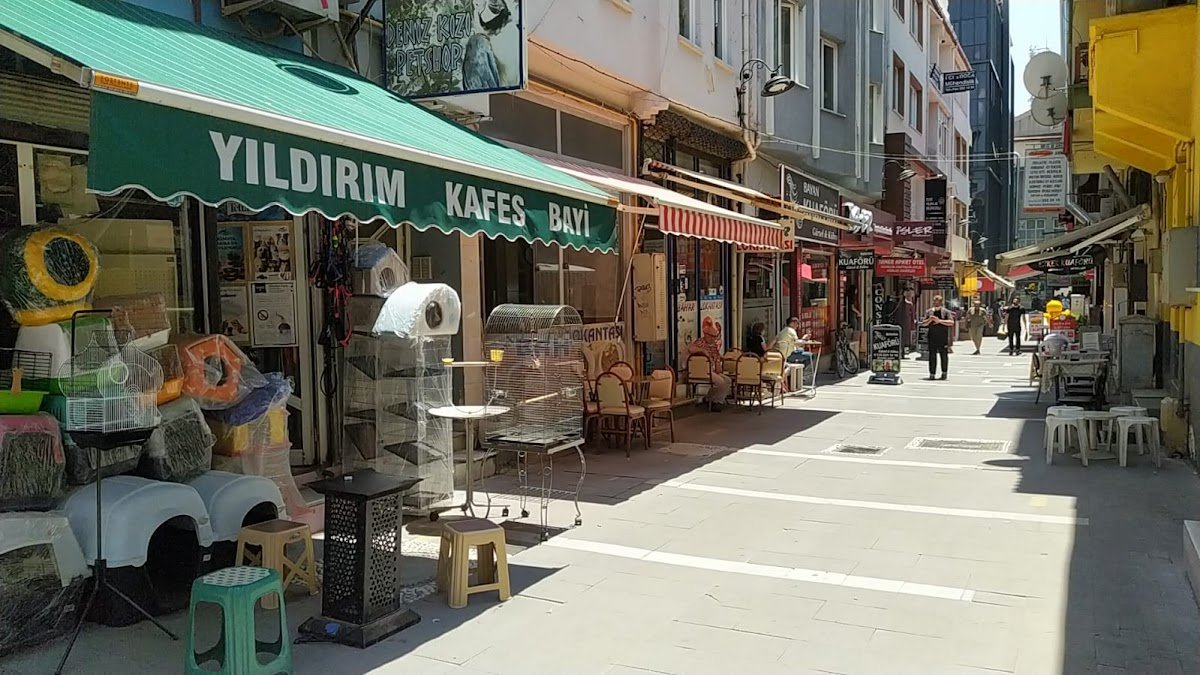 Deniz Kızı Petshop