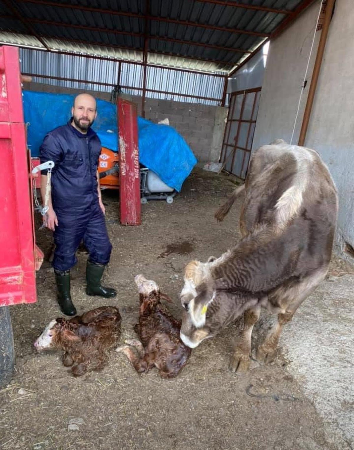 Çakın Veteriner Kliniği