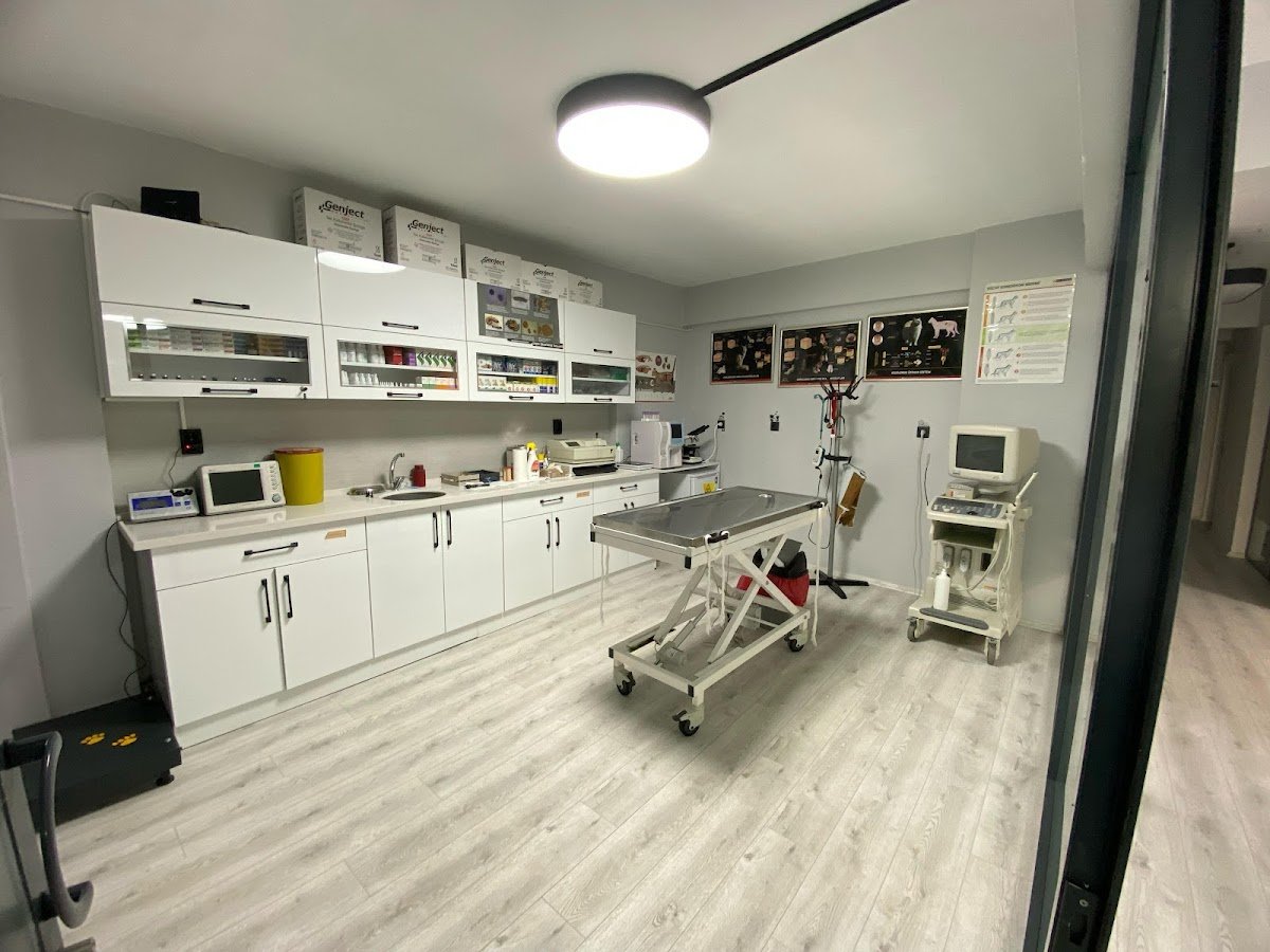 Uşak Vet Academia Veteriner Kliniği