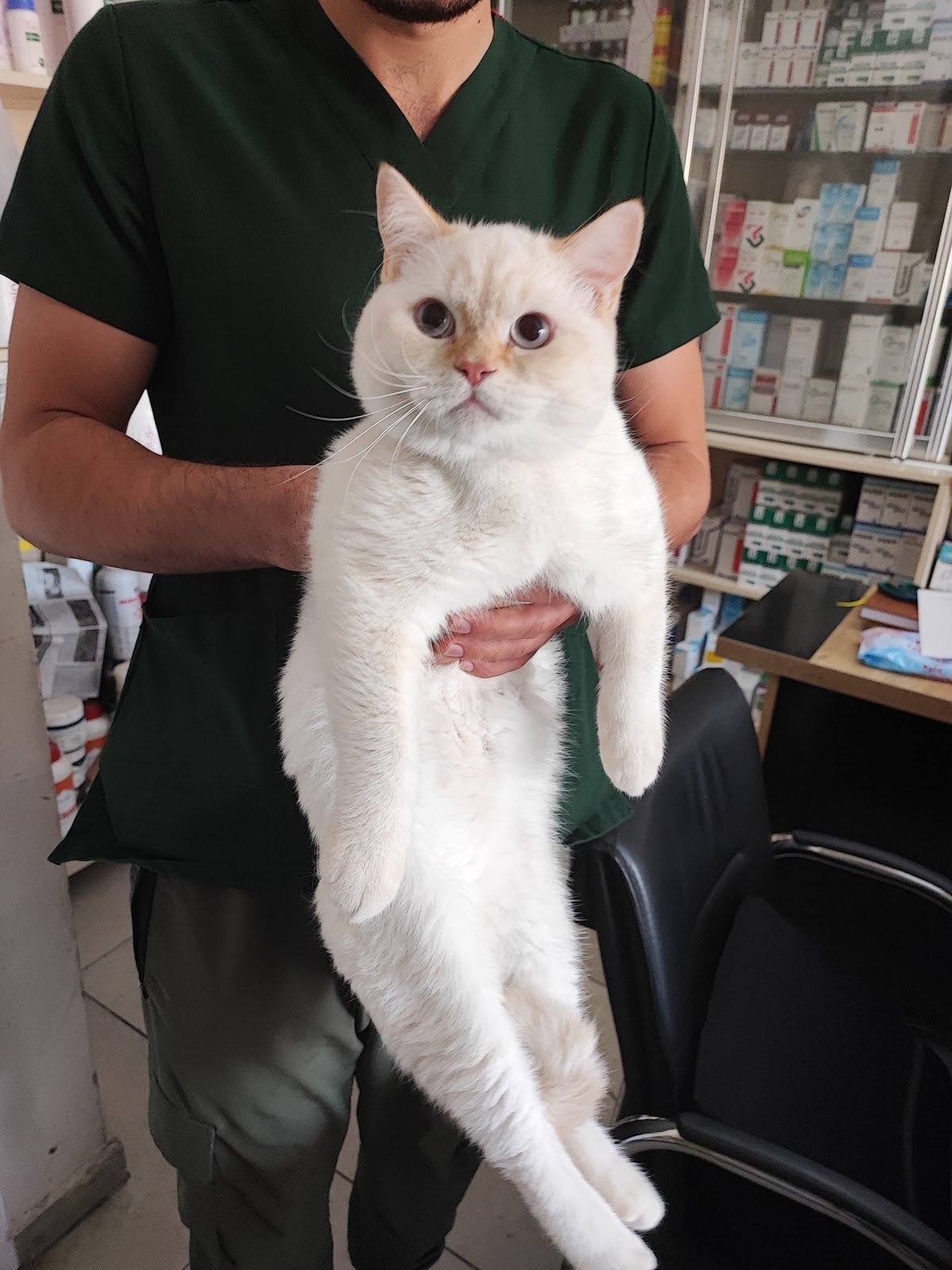 KONYA VETERİNER ANADOLU VETERİNER KLİNİĞİ VE İLAÇLARI