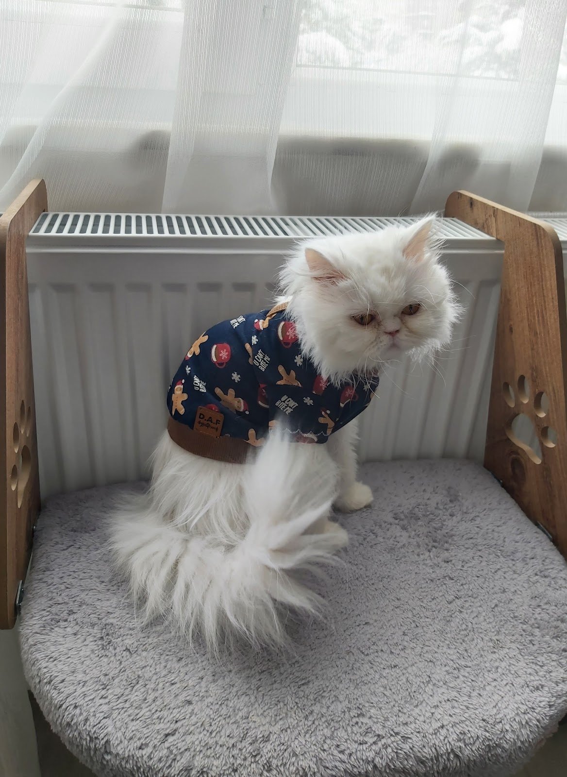 Safran Pet Life