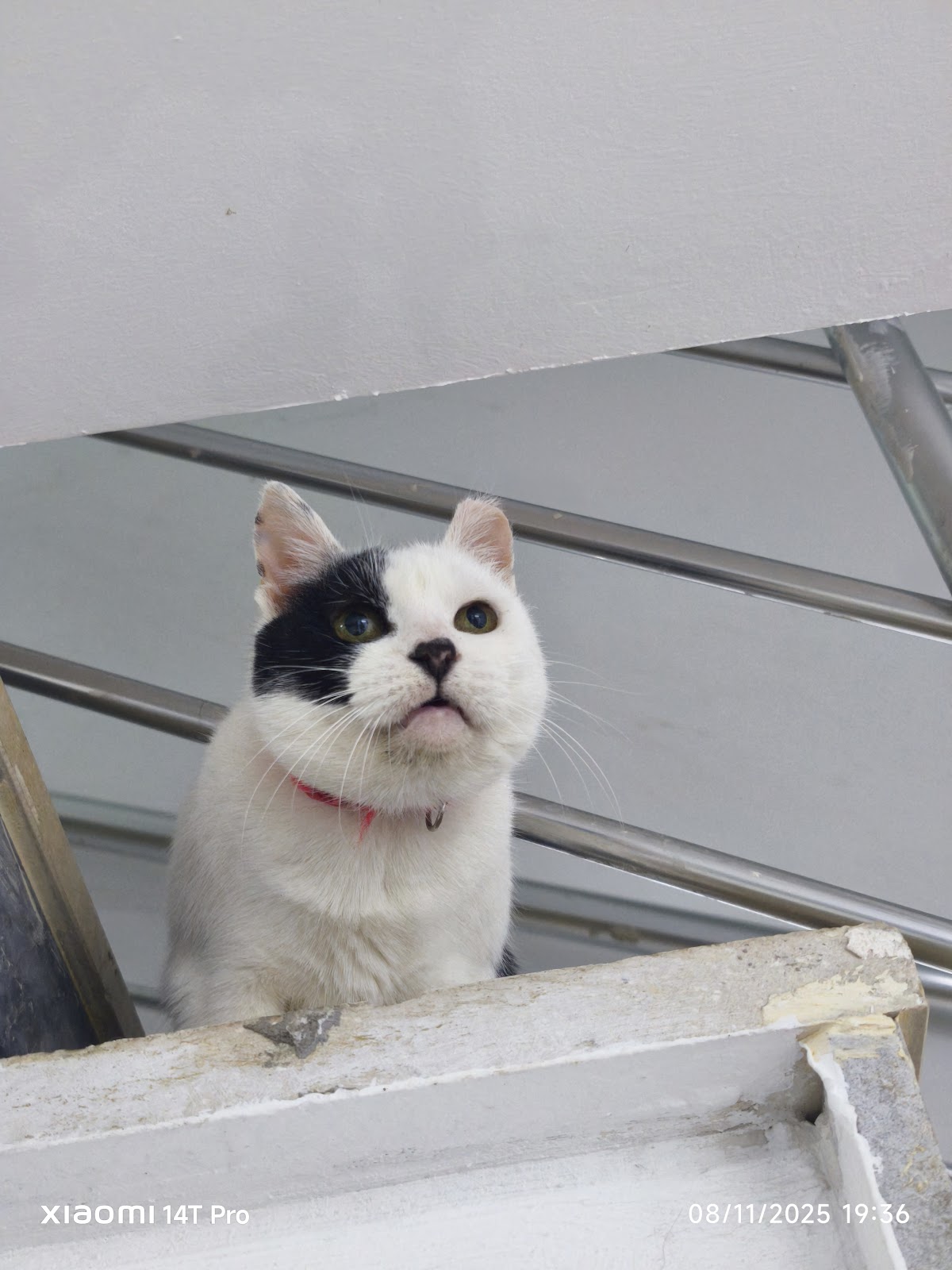 Doğa Veteriner Kliniği