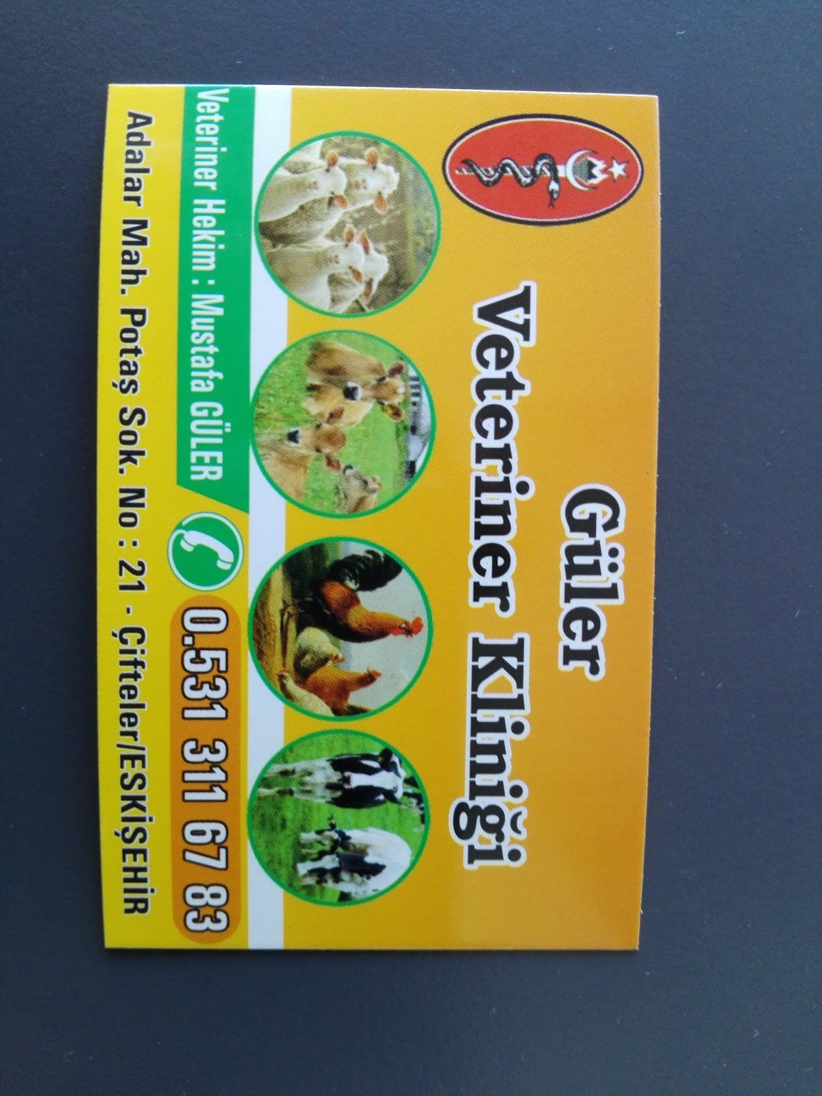 GÜLER VETERINER KLINIĞI