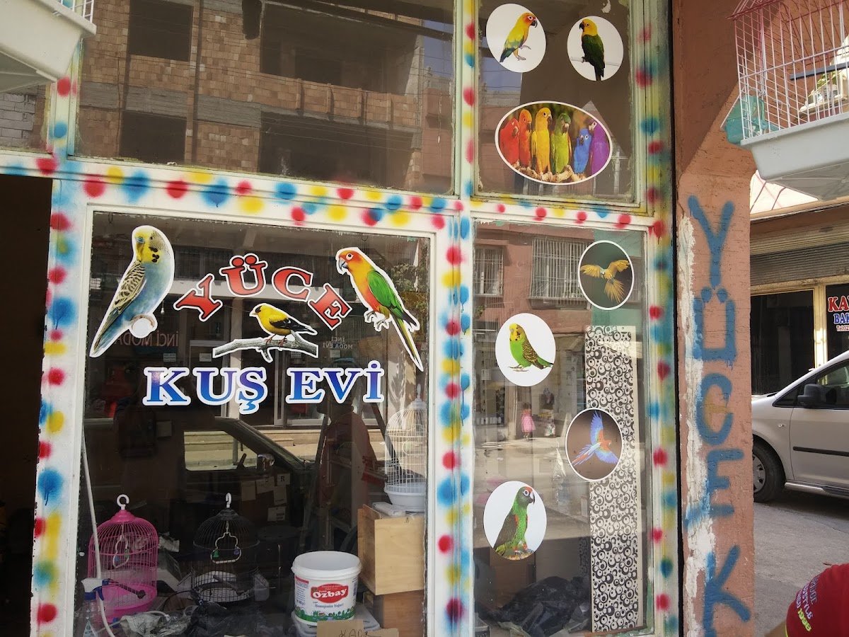 Yüce Petshop