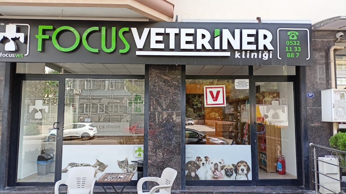 Gaziemir Focus Veteriner Kliniği