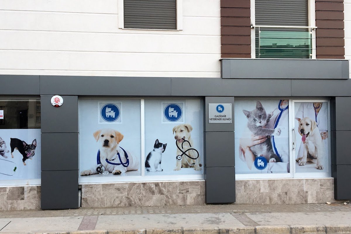 Gaziemir Veteriner Kliniği