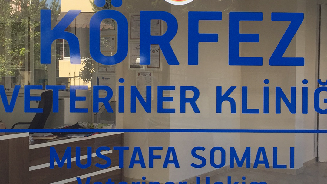 Körfez veteriner kliniği