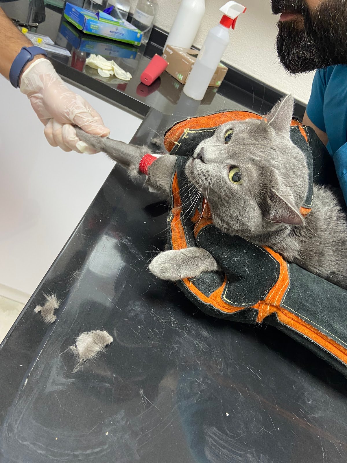Rhesus Veteriner Kliniği