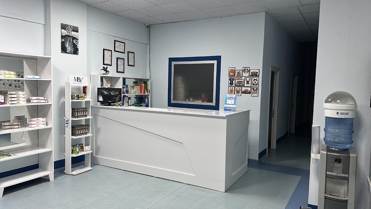 Patimate Bornova Veteriner Kliniği