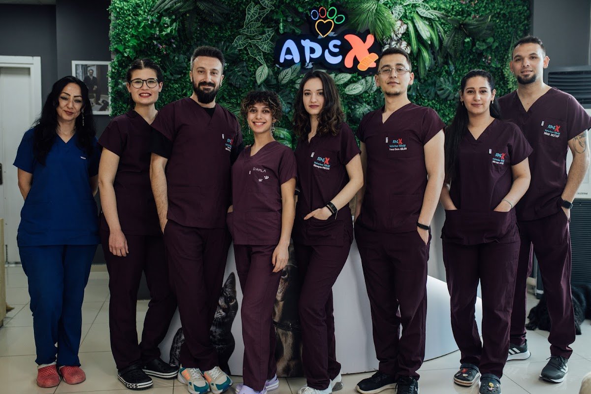 Apex Veteriner Kliniği