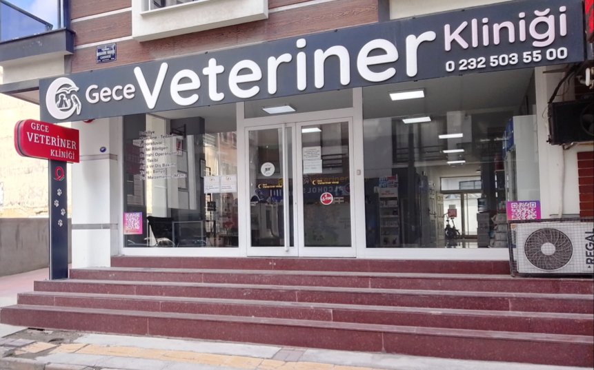 Gece Veteriner Kliniği