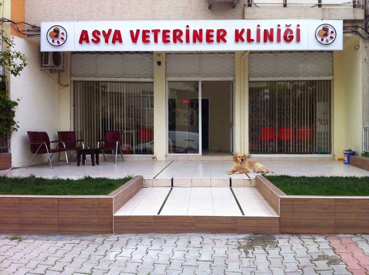 Asya Veteriner Kliniği