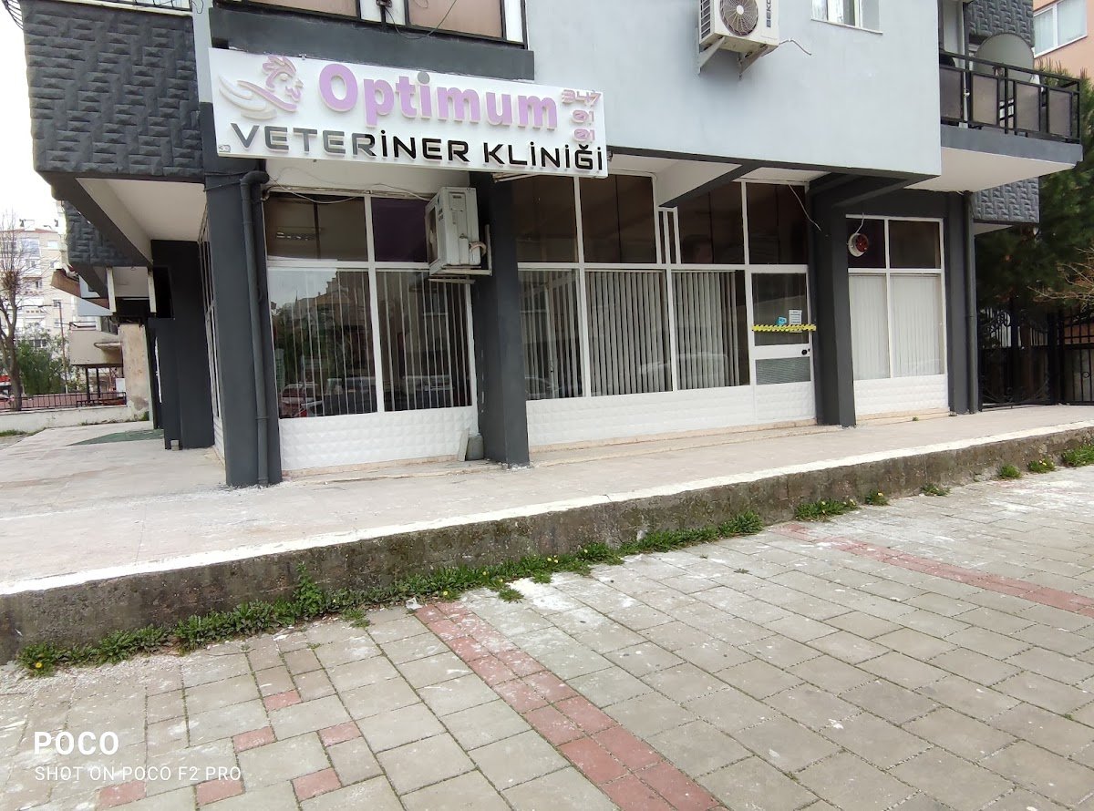 Optimum Veteriner Kliniği