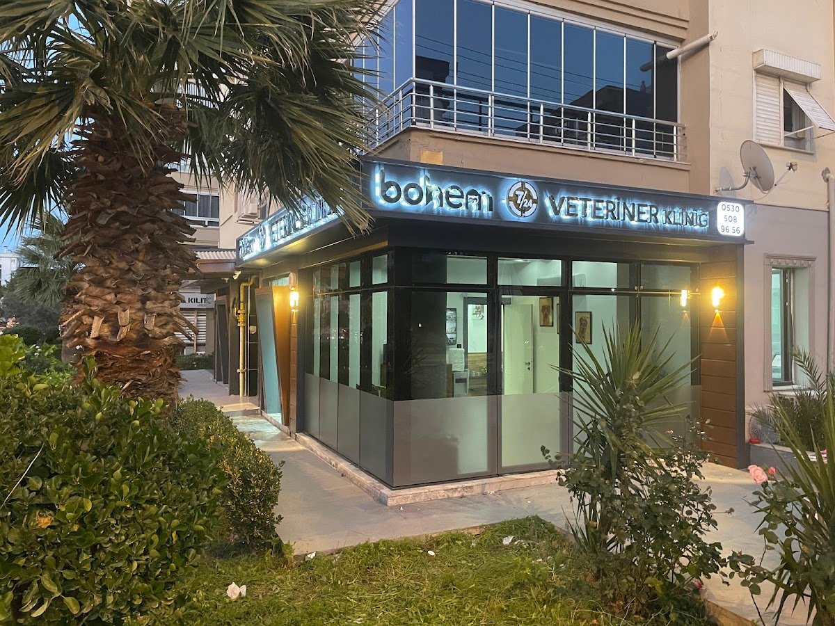 Bohem Veteriner Kliniği